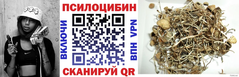 купить наркотики цена  Новосиль  Псилоцибиновые грибы мицелий 